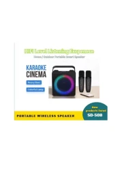 Home Karaoke Portable Bluetooth Speaker Dual Wireless Microphone Live TV FM Radio TF Card USB Subwoofer Music Center Audio