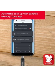 SanDisk Type C OTG SDDDC3 256GB USB 3.1 Flash Drive