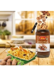 Shan Tamarind Chutney 315g