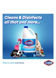 Clorox Liquid Bleach 950ml