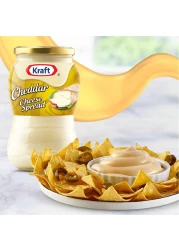 Kraft Cheddar Cheese Spread, 480g Pack of 2