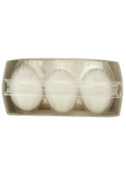 Jenan Omega 3 Large White Eggs 15 PCS