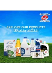 Al Ain Cardamom Milk 250ml