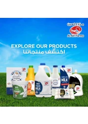 العين زبادي طازج كامل الدسم 2 كغ