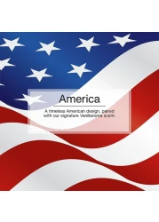 LITTLE TREES Air Fresheners Car Air Freshener. Hanging Tree Provides Long Lasting Scent for Auto or Home. America, 24 Air Fresheners