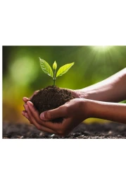 Vsell24 Bio Tech Potting Soil With Micro Nutirients For Indoor And AC Rooms Soil For Home Gardens Made In UAE 10L(3Kg)