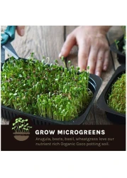 vsell24&nbsp;5L Bio Loose Cocopeat For Indoor And Outdoor Plants High Quality Medium Growing Coco Peat Made In UAE