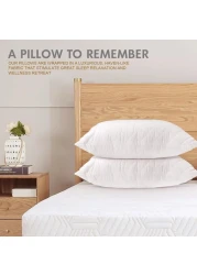 Hotel Linen Klub Pack of 2 Quilted Pillow Queen (50 x75cm) - Outer Cover: 90GSM Microfiber Supersoft Fabric, Filling: 650grams Soft Fiber, Diamond Quilt Pattern