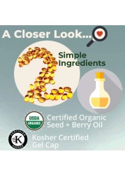 Sea Buckthorn Seed Oil, Made With Organic Sea Buckthorn, 60-Softgels