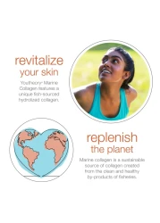 YoutheoryMarine Collagen 2500 mg Hydrolyzed Collagen Supports Skin FishSourced Collagen with Vitamin C A C E B6 B12 More Highly Digestible and Absorbable 290 Tablets