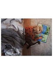 Soft Toy Dinosaur/Dinosaur/Brontosaurus 55cm