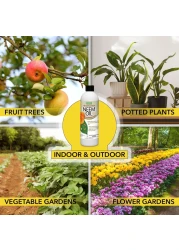 HARRIS Neem Oil 100 Cold Pressed and Unrefined Concentrate for Plant Spray High Azadirachtin Content 12 Ounce for Aphids Whiteflies Mealy Bugs and More