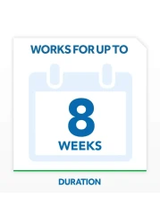 RaidBed Bug Foaming Spray Kills Bed Bugs and Their Eggs for Indoor Use NonStaining Keeps Killing for Weeks 165 oz Pack of 1