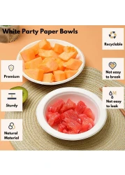 LAVISH Heavy-Duty Bagasse Biodegradable Paper Bowls, [ 10-Pack 16Oz/475ml ] Compostable Bowls for Hot &amp; Cold Foods, Ideal for Soup, Ice Cream, Salad, Snacks, and Desserts (White)