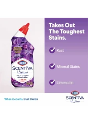 كلوركس سنتيفا منظف المرحاض، اللافندر التوسكاني، 709مل