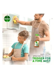 Dettol Power Kitchen And Bathroom Cleaner 500ml Pack of 2