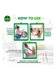 Dettol Original Anti-Bacterial Antiseptic Disinfectant 2L