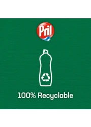 Pril Cold Power Hand Dishwashing Liquid Lemon 500ml