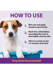 DeSkunk Odor Destroying Shampoo for Dogs 32 oz Formulated with Powerful DeGreasers Skunk Odor Remover for Pets Carpet Furniture and More Removes Skunk Smell Fast Clear FG00065