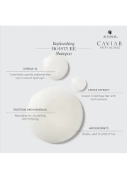 Alterna Caviar AntiAging Replenishing Moisture Hair Care