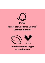 elf Cosmetics Complexion Essentials Brush Sponge Set Concealer Powder Blush Highlighter Brushes Total Face Sponge For A Perfect Complexion