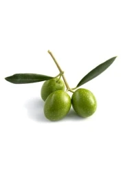 Isabellas Clearly Burn Soothing Aloe Vera Ointment for Skin Burns Scalds Cuts Scrapes Wounds Sunburn Relief with Olive Oil and Lavender Fast Acting Natural Remedy Made in USA