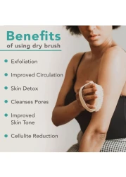 Dry Brushing Body Brush for Lymphatic Drainage Cellulite Round Dry Brush for Body Natural Bristle Body Brush for Showering Skin Brush for Dry Brushing Bath and Exfoliating