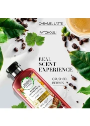 Herbal Essences Bio Renew Volume Arabica Coffee Fruit Conditioner 400ml