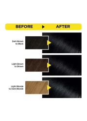 Garnier Olia No Ammonia Permanent Hair Colour 1.0 Deep Black