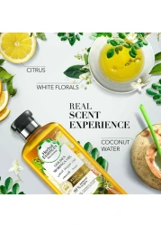 هربال إيسنسيز شامبو بيو رينيو لتنعيم الشعر بزيت المورينغا الذهبي 400 ملل