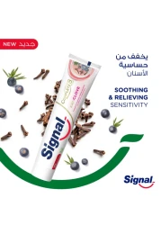 Signal Complete 8 Nature Elements Toothpaste For Sensitive Teeth Clove 75ml