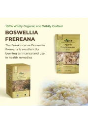 اللبان Boswellia Frereana الراتنج