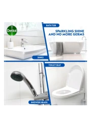 ديتول سائل مطهر برائحة الليمون مع رذاذ الحمام النظيف الصحي 500 ملل حزمة من 2