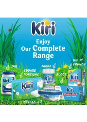 كيري جبنة كريمية في مرطبان زجاجي 500 غرام، حزمة من 2