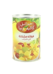 كاليفورنيا غاردن كوكتيل فواكه في شراب معلب جاهز للأكل 415 غرام