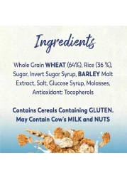 نستله فتنس مورنينج بوست حبوب 375 غرام