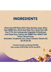 نستله فيتنس جرانولا الشوفان المقرمش، 300 غرام