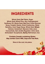 Nestle Fitness Granola and Cranberry Cereal Oats, 450g