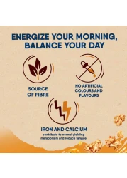 نستله فيتنس حبوب الشوفان جرانولا بالعسل، 450 غرام