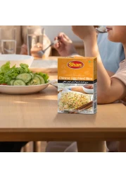 Shan Chinese Egg Fried Rice Oriental Seasoning Mix, 35g