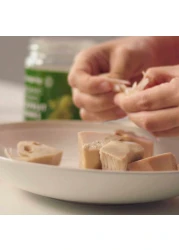 Clearspring Organic Young Jackfruit Chunks 500g