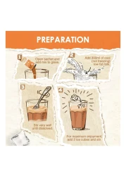 Nescafe Ice Salted Caramel, 25g