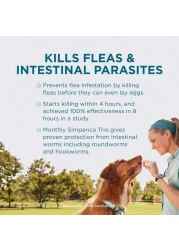 Zoetis Simparica TRIO the Complete Flea, Tick, and Heartworm Prevention for Dogs 10- 20 kgChewable.