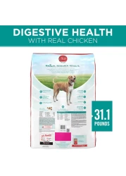 بورينا وان بلس تركيبة صحية للجهاز الهضمي، طعام للكلاب، 3.63 كغ