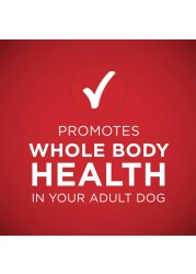 بورينا وان كلاسيك، دجاج مفروم مع أرز بني، طعام للكلاب، 368 غرام