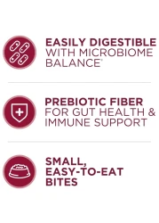 Purina ONE Small Bites Beef &amp; Rice Formula, Dog Food 3.63kg