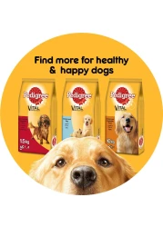 Pedigree Vital Protection Beef and Vegetables Flavour Dry Food for Adult Dog, 3kg