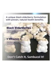 Sambucol Kids Chewable Teddies 60 Chewables