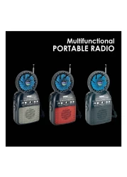 Sanford Multifunctional Rechargeable Radio With LED Night Light