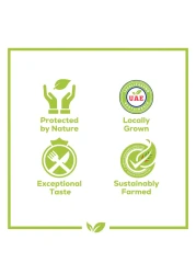 بيور هارفيست طماطم سترابينا 390 غرام